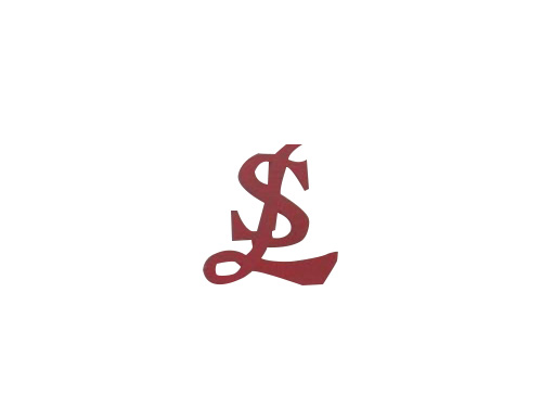 东莞嵩电